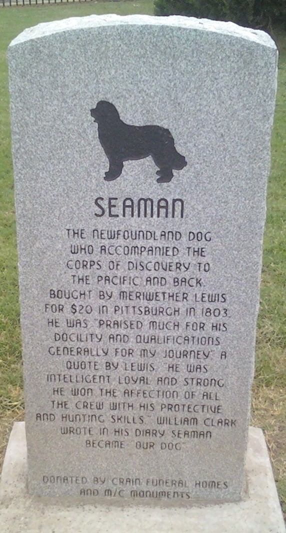 Seaman (dog) Meriwether Lewis39s Dog Seaman 1803 1809 Find A Grave Memorial
