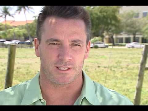 Sean Kenniff Etre the Cow by Sean Kenniff ArtStreet Miami YouTube