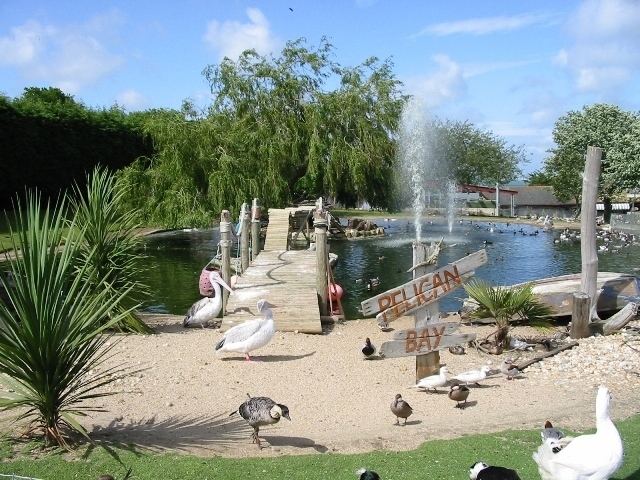 Seaview Wildlife Encounter