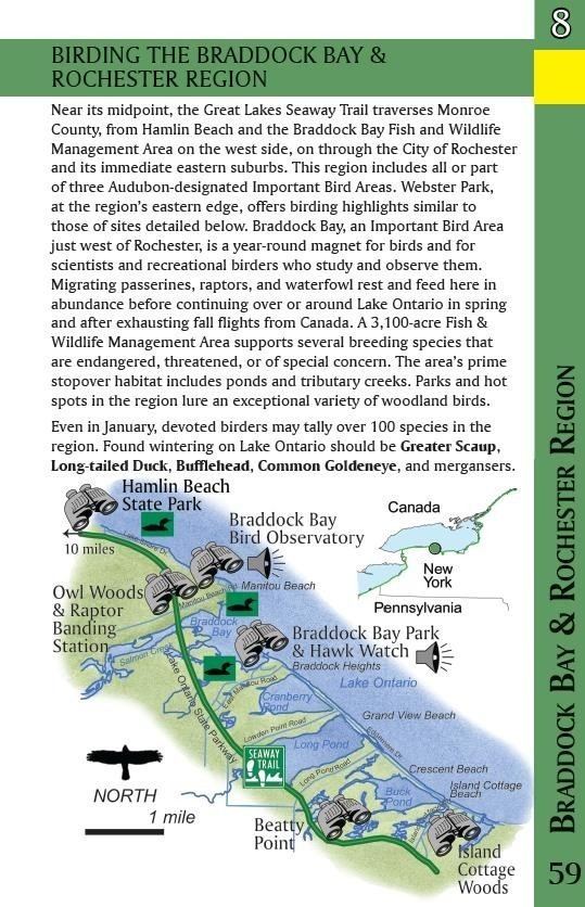 Seaway Trail Review Birding the Great Lakes Seaway Trail