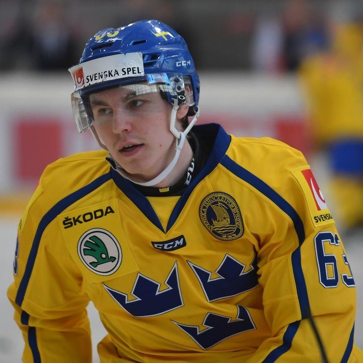 Sebastian Aho (ice hockey, born 1996) Sebastian Aho ice hockey born 1996 Wikipedia