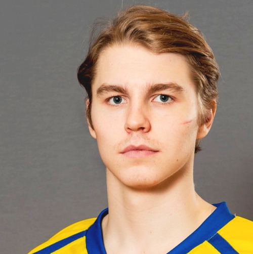 Sebastian Aho (ice hockey, born 1996) 68mediatumblrcomdac5306a8ce2f2b0ef93573c59e397