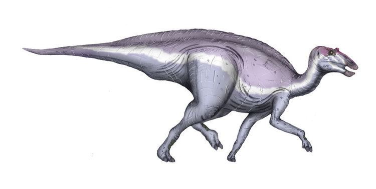 Secernosaurus img09deviantartnetf0fbi20071028dsecernosa