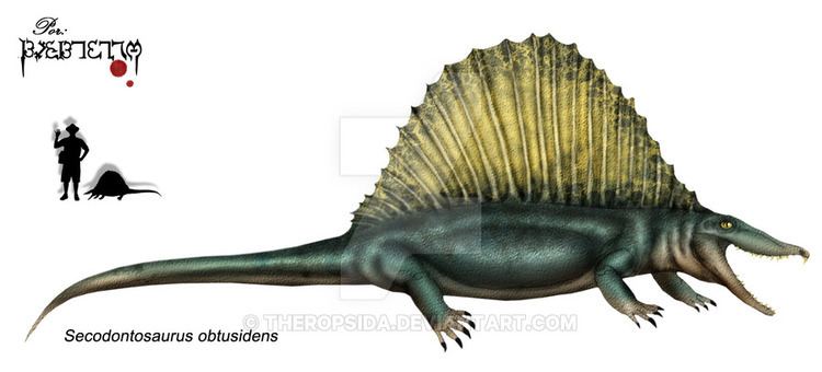 Secodontosaurus secodontosaurus DeviantArt