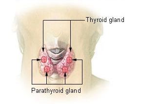 Secondary hyperparathyroidism
