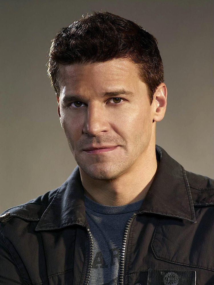 Seeley Booth Photo of Booth for fans of Seeley Booth Bones Promo Season 3