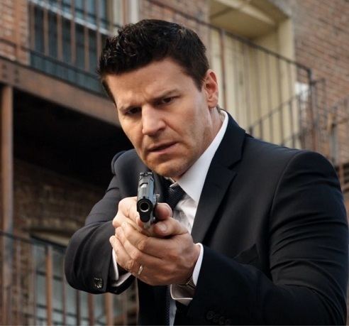 Seeley Booth Protector In Turmoil A Character Analysis of Seeley Booth Part One