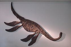 Seeleyosaurus httpsuploadwikimediaorgwikipediacommonsthu