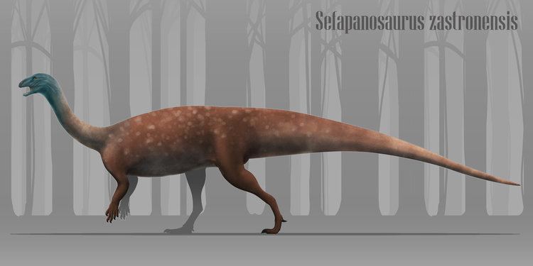Sefapanosaurus Sefapanosaurus by ChrisMasna on DeviantArt