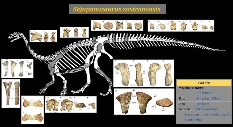 Sefapanosaurus WFSRiffin T SajeevRussel T SajeevWorld Fossil Society
