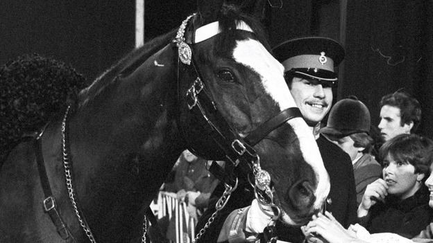 Sefton (horse) Former Calvary man Pedersen survived IRA bomb with famous horse
