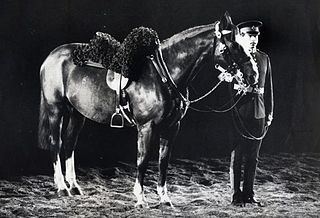 Sefton (horse) httpsuploadwikimediaorgwikipediaendd4Sef