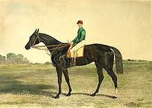 Sefton (racehorse) httpsuploadwikimediaorgwikipediacommonsthu