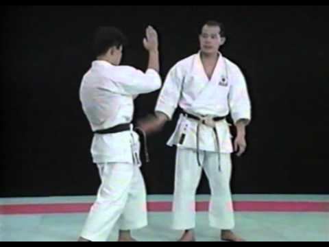 Seiji Nishimura Seiji Nishimura Best Karate Kick Techniques YouTube