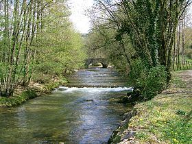 Seille (Saône) httpsuploadwikimediaorgwikipediacommonsthu