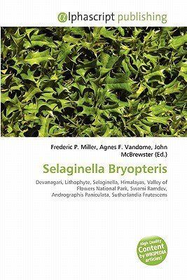 Selaginella bryopteris Selaginella Bryopteris by Frederic P Miller Agnes F Vandome John