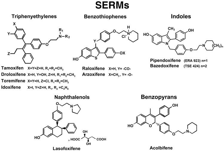 Selective estrogen receptor modulator Future perspectives of selective estrogen receptor modulators used