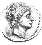 Seleucus II Callinicus wwwliviusorga2greekscoinseleucusiicallini