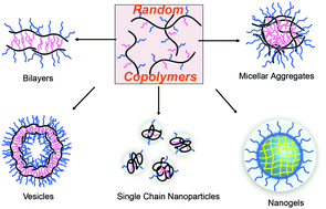 Self-assembly Polymer SelfAssembly Home