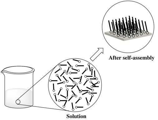 Self-assembly of nanoparticles