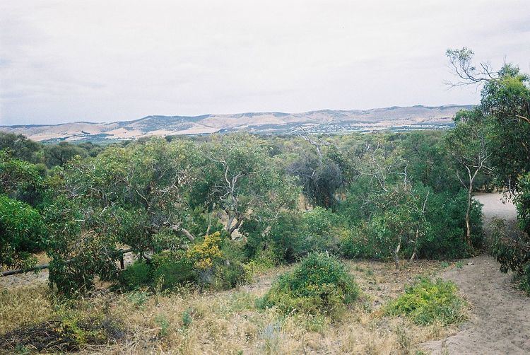 Sellicks Hill, South Australia