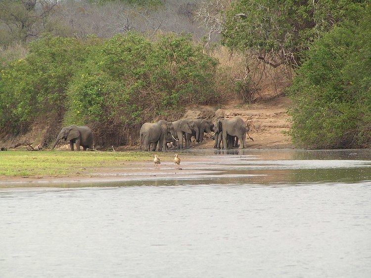 Selous Game Reserve