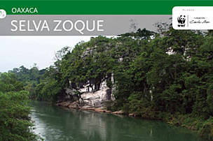 Selva Zoque Publicaciones y proyectos WWF