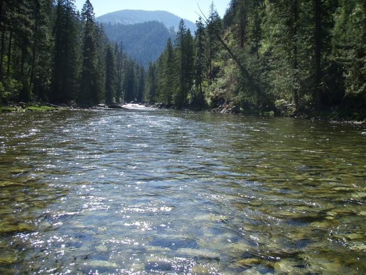 Selway River httpswwwraftingthewestcomimagesriverPageS