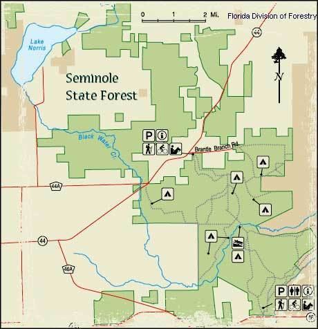 Seminole State Forest Seminole State Forest Florida State Forests