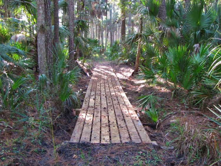 Seminole State Forest httpsstaticrootsratedcomimageuploadsRMPy