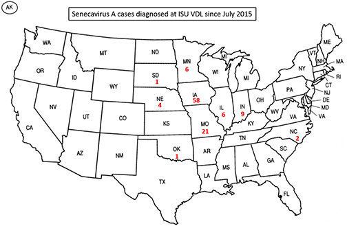 Senecavirus Senecavirus A Case Update College of Veterinary Medicine