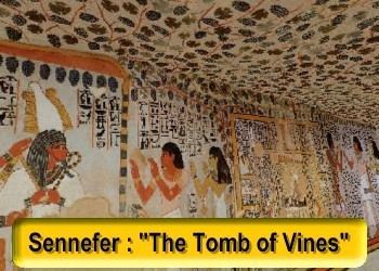 Sennefer TT 96 the tomb of Sennefer Mayor of Thebes