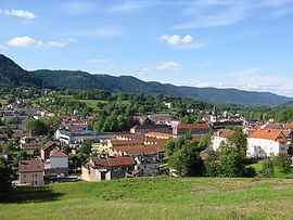 Senones, Vosges httpsuploadwikimediaorgwikipediacommonsthu