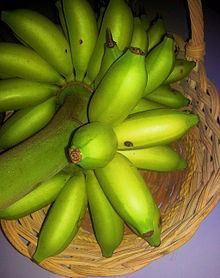 Green Señorita bananas in the basket