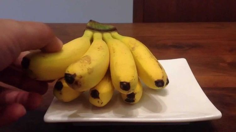 A hand holding yellow Señorita banana on a white plate