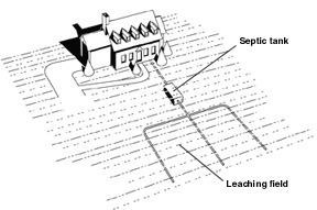 Septic drain field