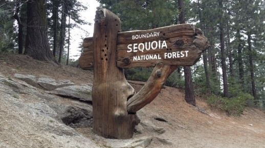Sequoia National Forest Sequoia National Forest Home