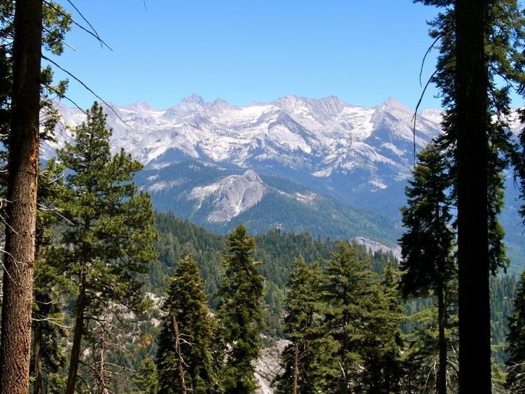 Sequoia National Forest marmot Paint Your Landscape