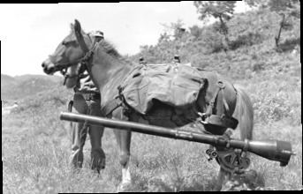 Sergeant Reckless Sgt Reckless