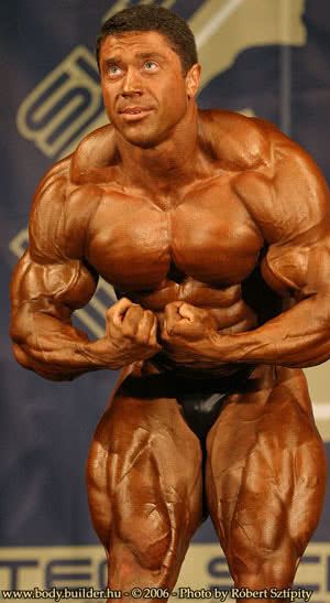 Sergey Shelestov Sergey Shelestov Testpt Sztrprofil BodyBuilder