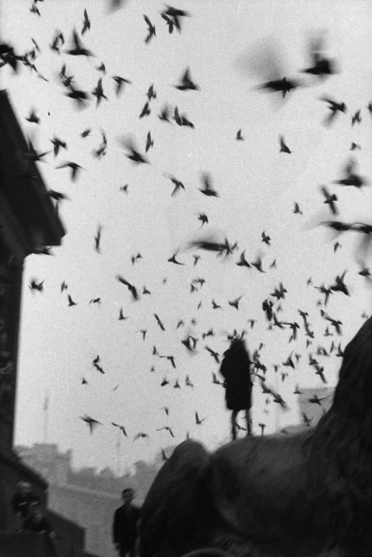 Sergio Larraín 7 Lessons Sergio Larrain Has Taught Me About Street Photography