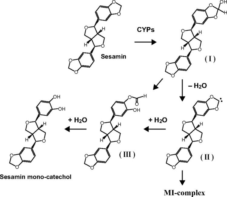 Sesamin Metabolism of Sesamin by Cytochrome P450 in Human Liver Microsomes