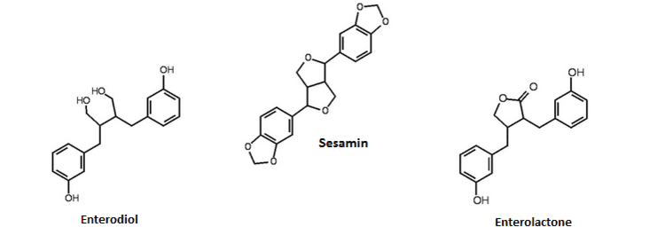 Sesamin Sesamin Scientific Review on Usage Dosage Side Effects Examinecom