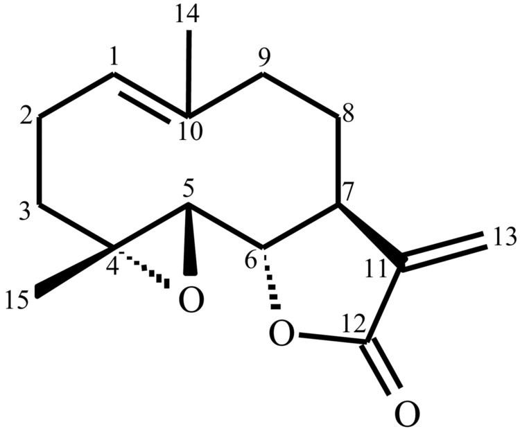Sesquiterpene lactone Antileishmanial Activity of Parthenolide a Sesquiterpene Lactone