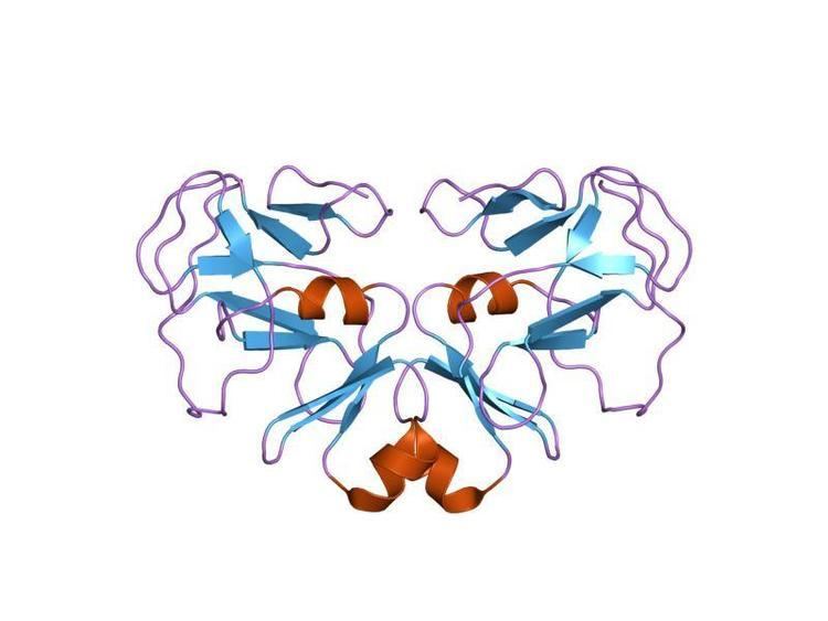 SET domain