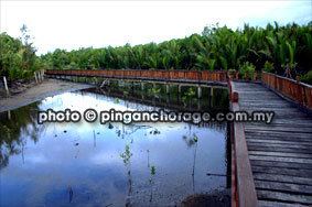 Setiu Wetlands Kuala Terengganu Setiu Wetland wetlands Terengganu Malaysia
