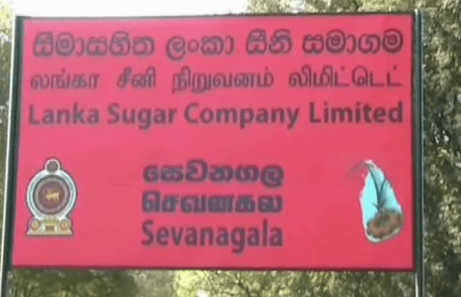 Sevanagala Production begins at Sevanagala sugar Factory ITN News