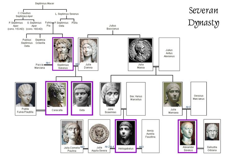 Severan dynasty family tree