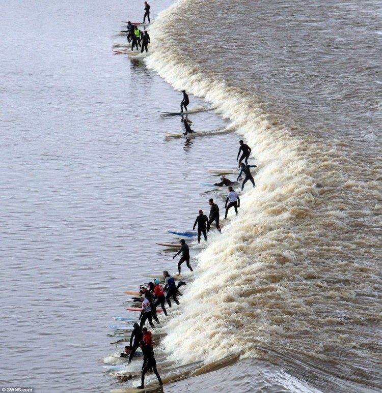Severn bore Riding the 20 MILE wave Surfers pictured at sunrise cruising on the