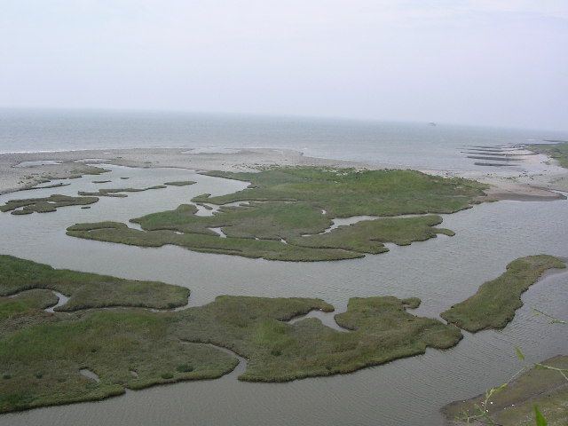 Severn Estuary 1000 images about Severn Estuary on Pinterest West coast Bristol